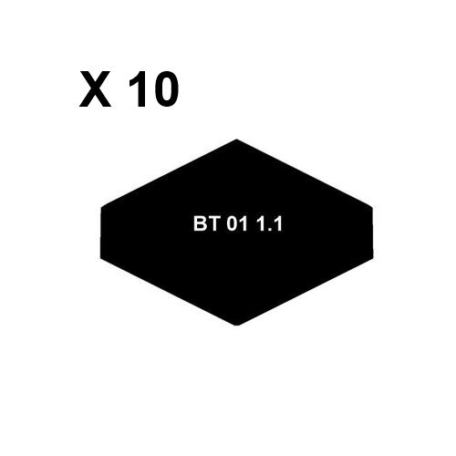 Tampa 1_1_10