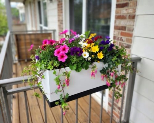 JARDIM MODULAR CRIATIVO
